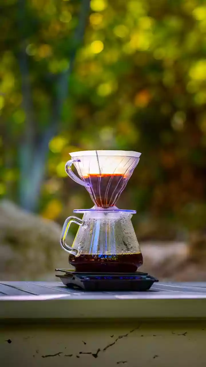 Why single-origin Arabica coffee beans from Chikmagalur Araku and Coorg are perfect for pour-over brewing