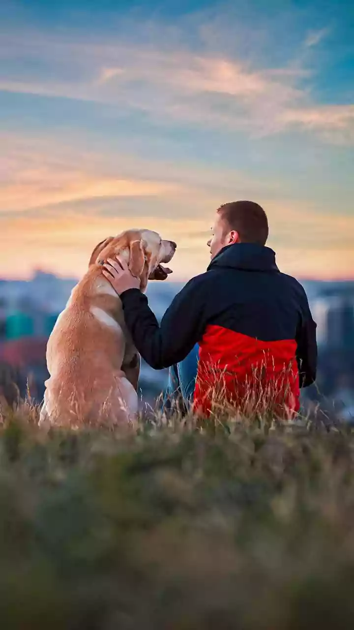 Man ‘Cruelly’ Keeps His Foot On Dog's Neck, Says 'I Feed Him, I Can Do Anything To Him'; Disturbing Viral Video
