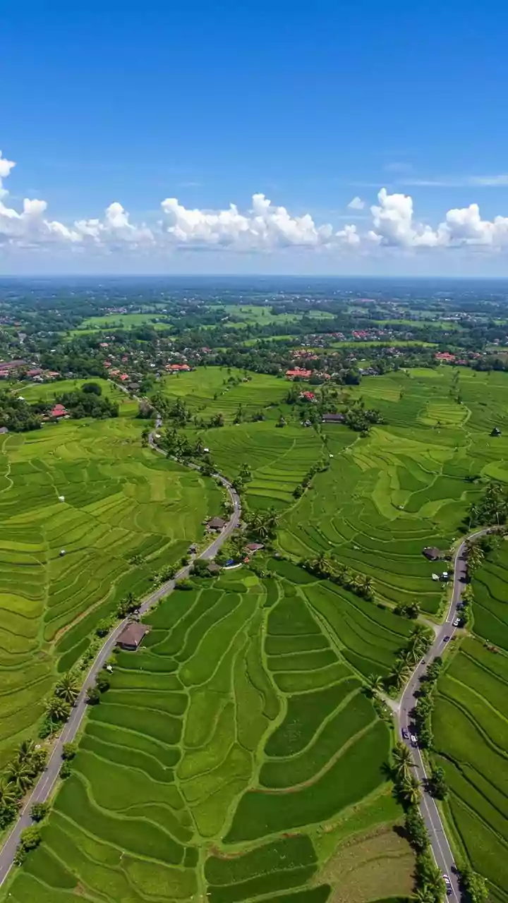 Uneven Economic Development in Uttar Pradesh: A Deep Dive