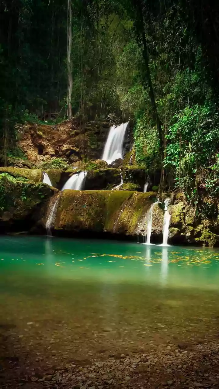 How To Find Best Rainforest Photography Spots On Driving Trips From Bangalore To Agumbe
