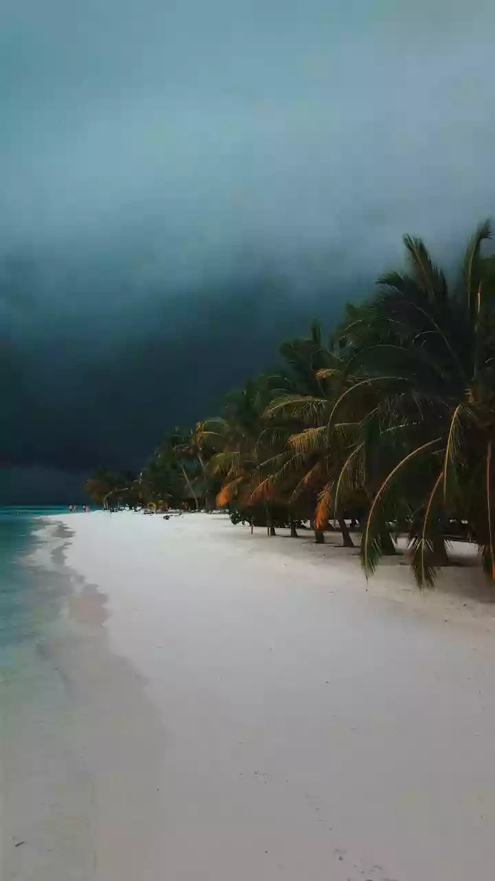 Andaman now in monsoon week 2: Havelock and Neil island stays still booking under ₹6,000