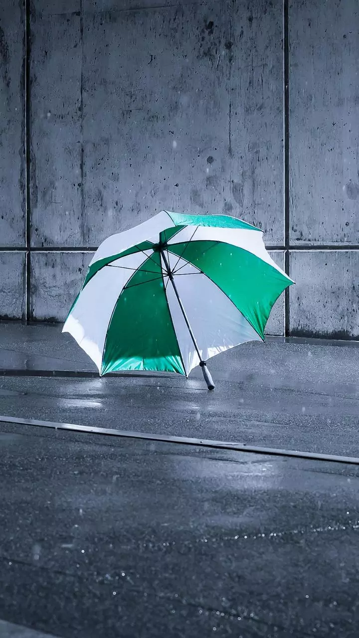 Budget 2026: Soaps, umbrellas to get costlier