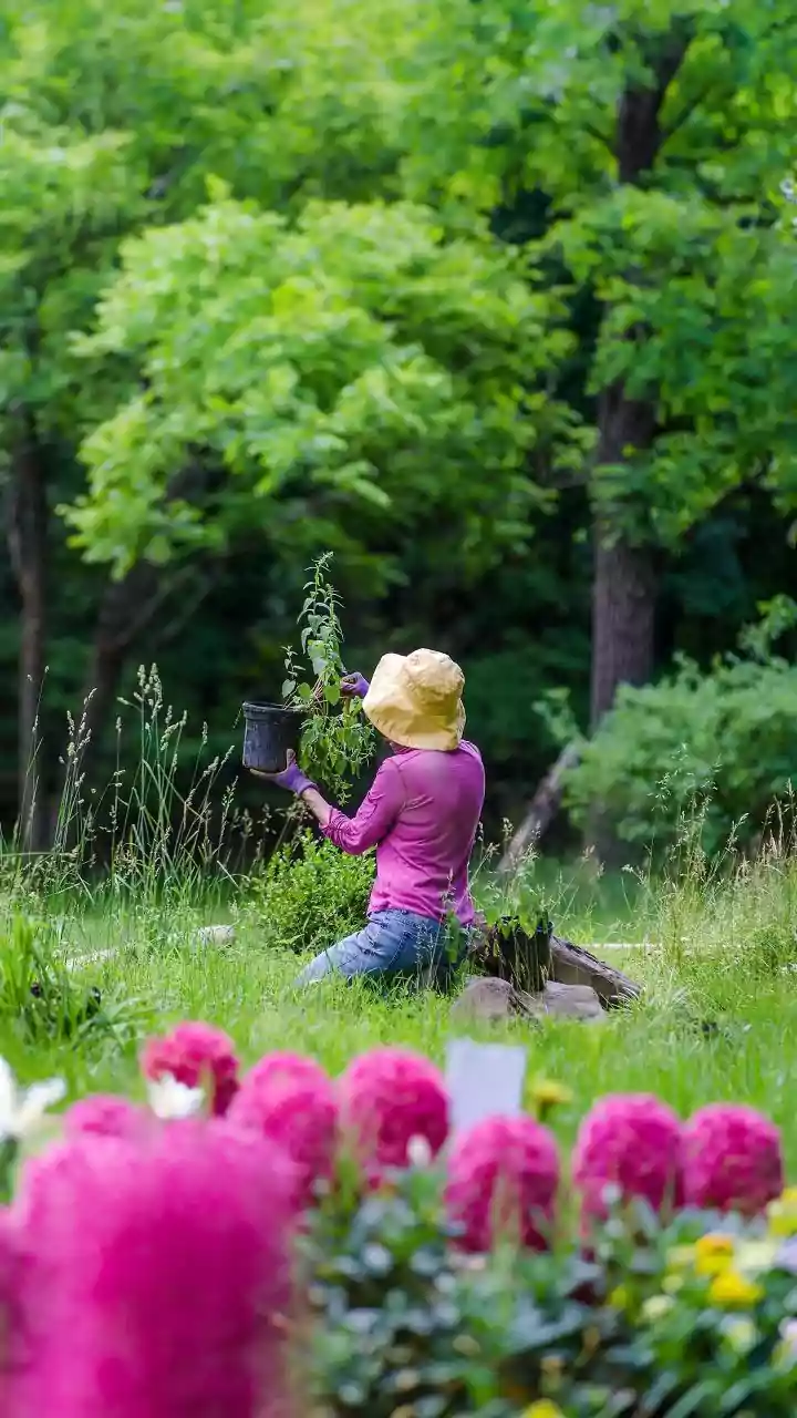 Gardeners Bring Nature Back Home