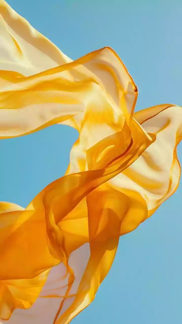 UP BJP Marches in Lucknow: Yogi Leads Charge Against Opposition's 'Anti-Women' Stance