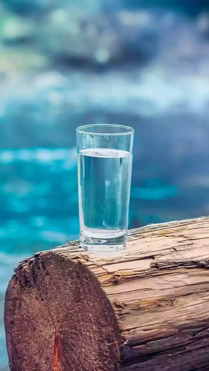 Pine Cone Waste Bio Char Offers Effective Low Cost Tap Water Filtration Method