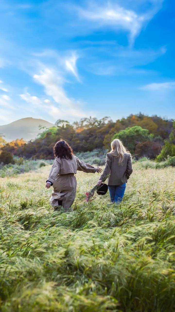 Unveiling True Happiness: A Journey Within