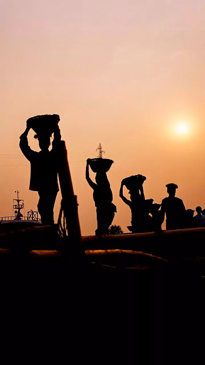 31 bonded labourers rescued in Maharashtra's Beed