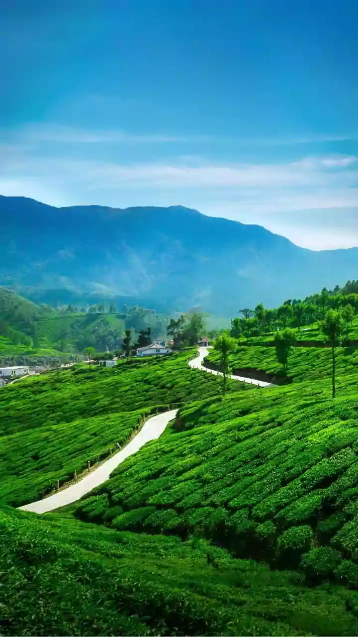 Escape Delhi's Air: Top 10 Hill Stations