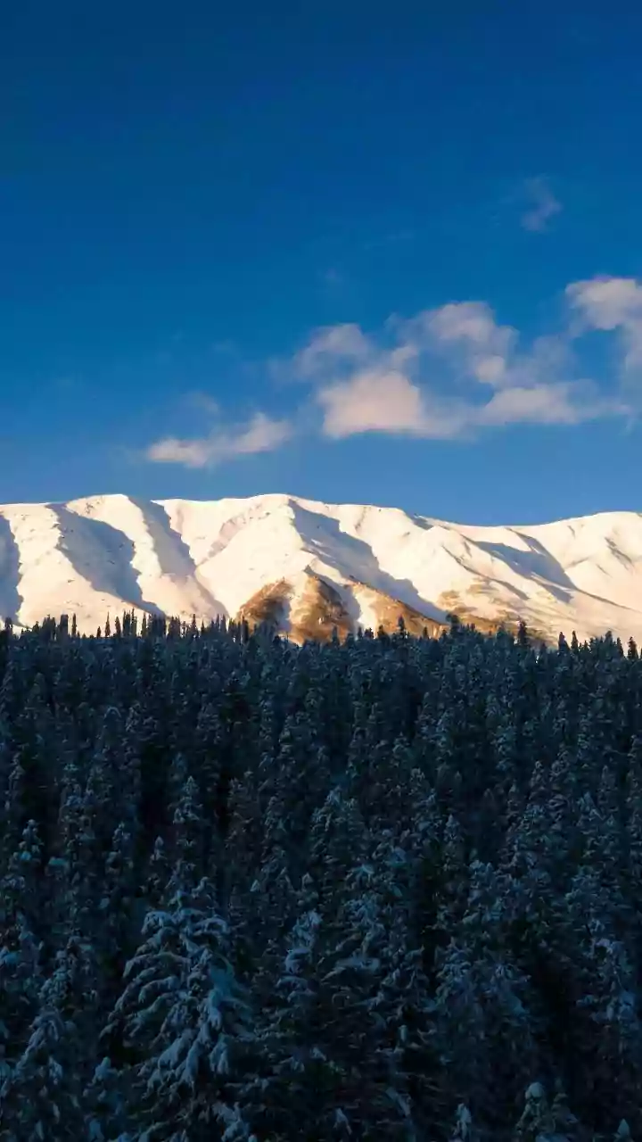 Fresh Snowfall Turns Gulmarg Into Winter Wonderland, Temperature Drops Across Valley | Video
