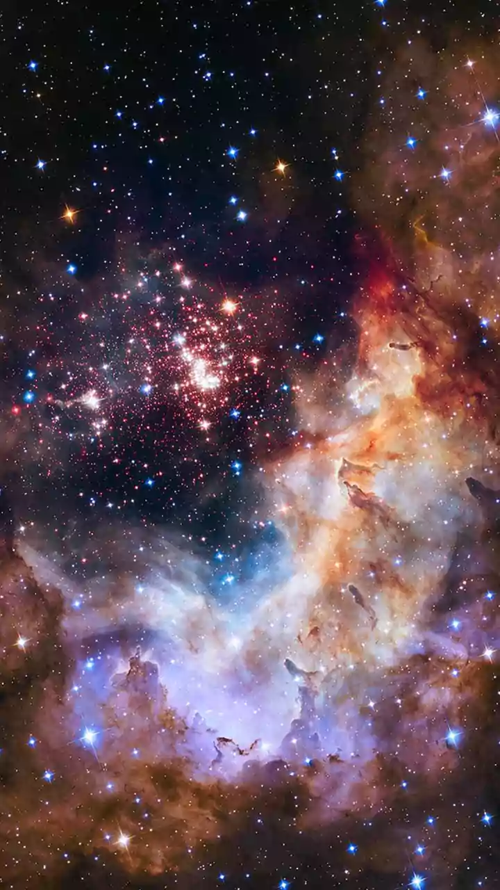 James Webb Space Telescope reveals W51 baby stars through dust