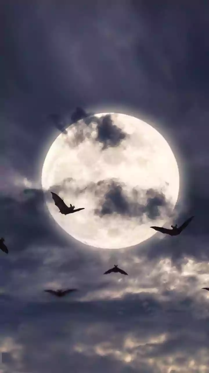 Cloudy Weather Makes Moonwatching More Moody