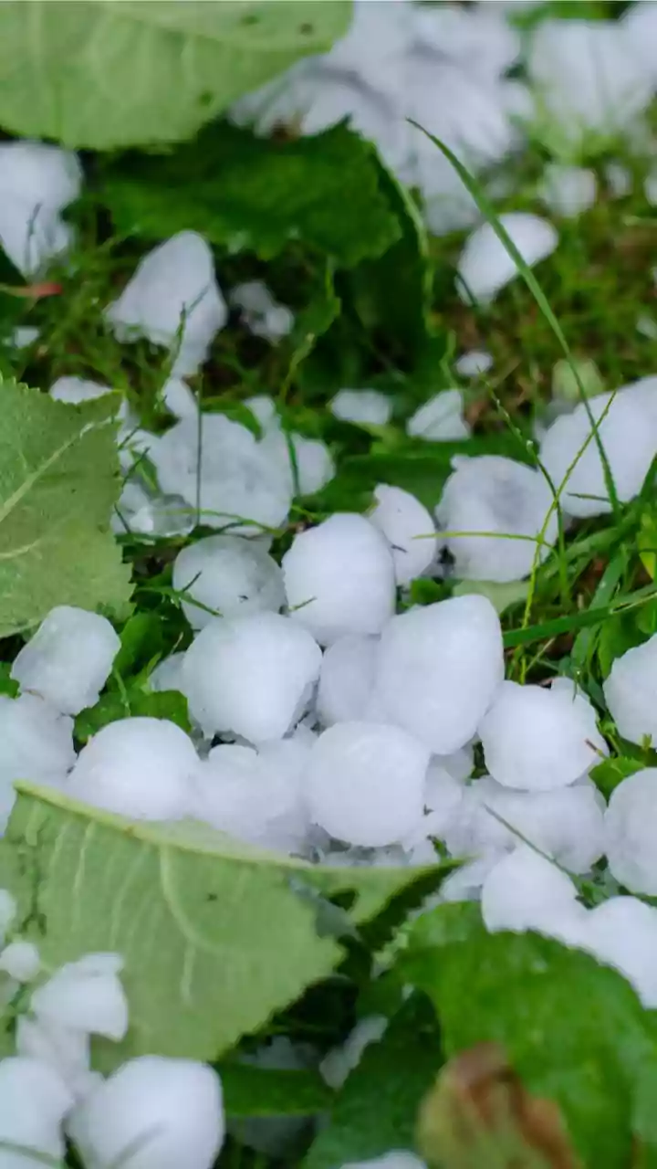 Granizo gigante deve se tornar mais frequente no futuro