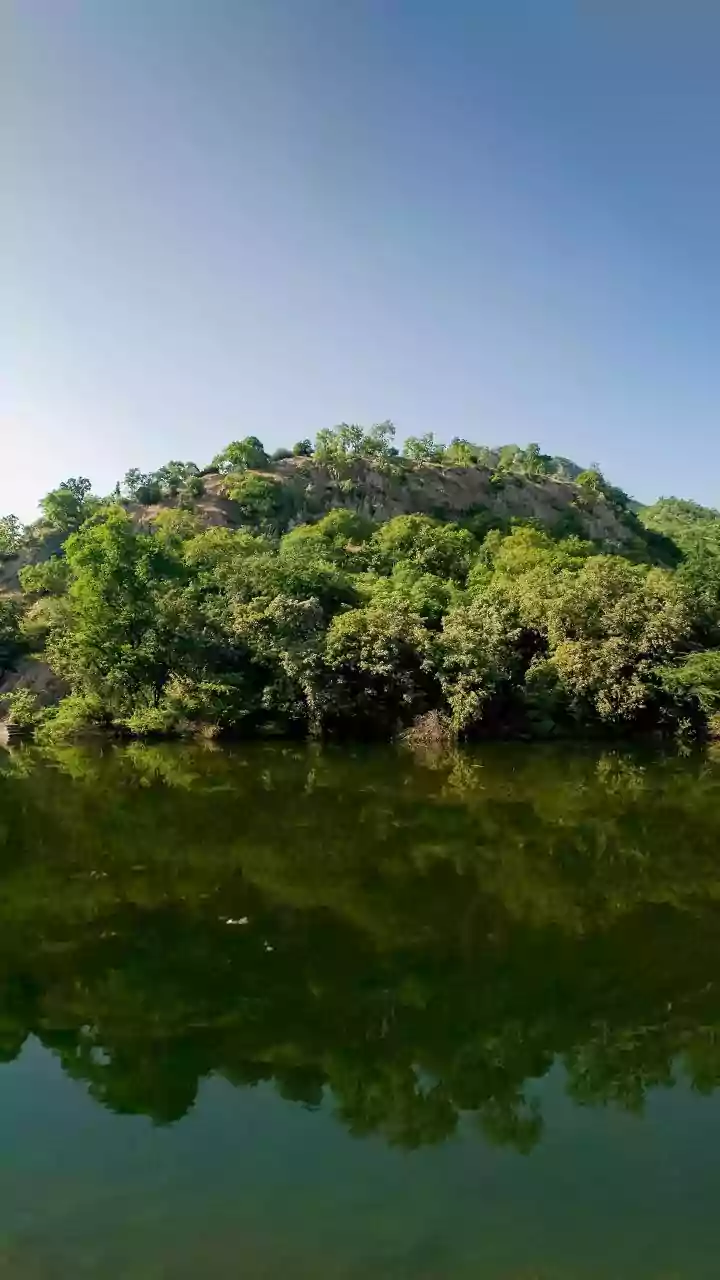 5 Jungle Survival Tips from Bear Grylls: Staying Alive!