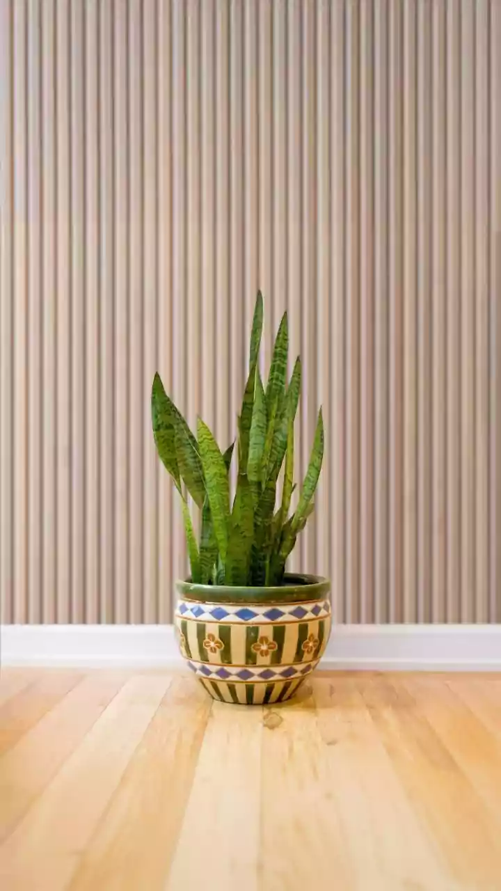 Why Indoor Plants Alone Cannot Replace Good Air Circulation, Research Finds
