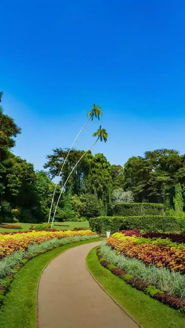 India’s Gorgeous Botanical Gardens: A Tour of Five Floral Paradises