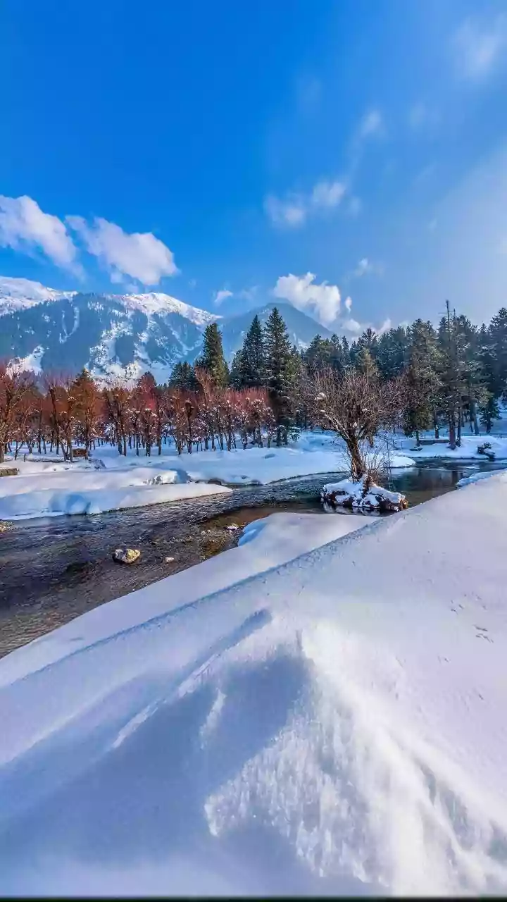 Pahalgam Attack Hurts Kashmir Tourism