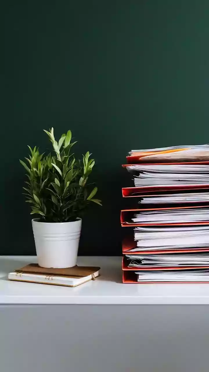 Keep Children's School Papers or Shared Household Notices in Their Own Flow