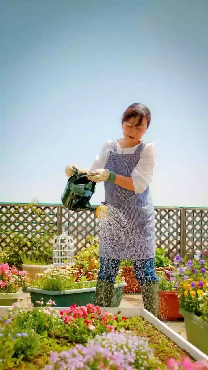 Why Terrace Garden Consultation Orders Surge Before Monsoon Seasons