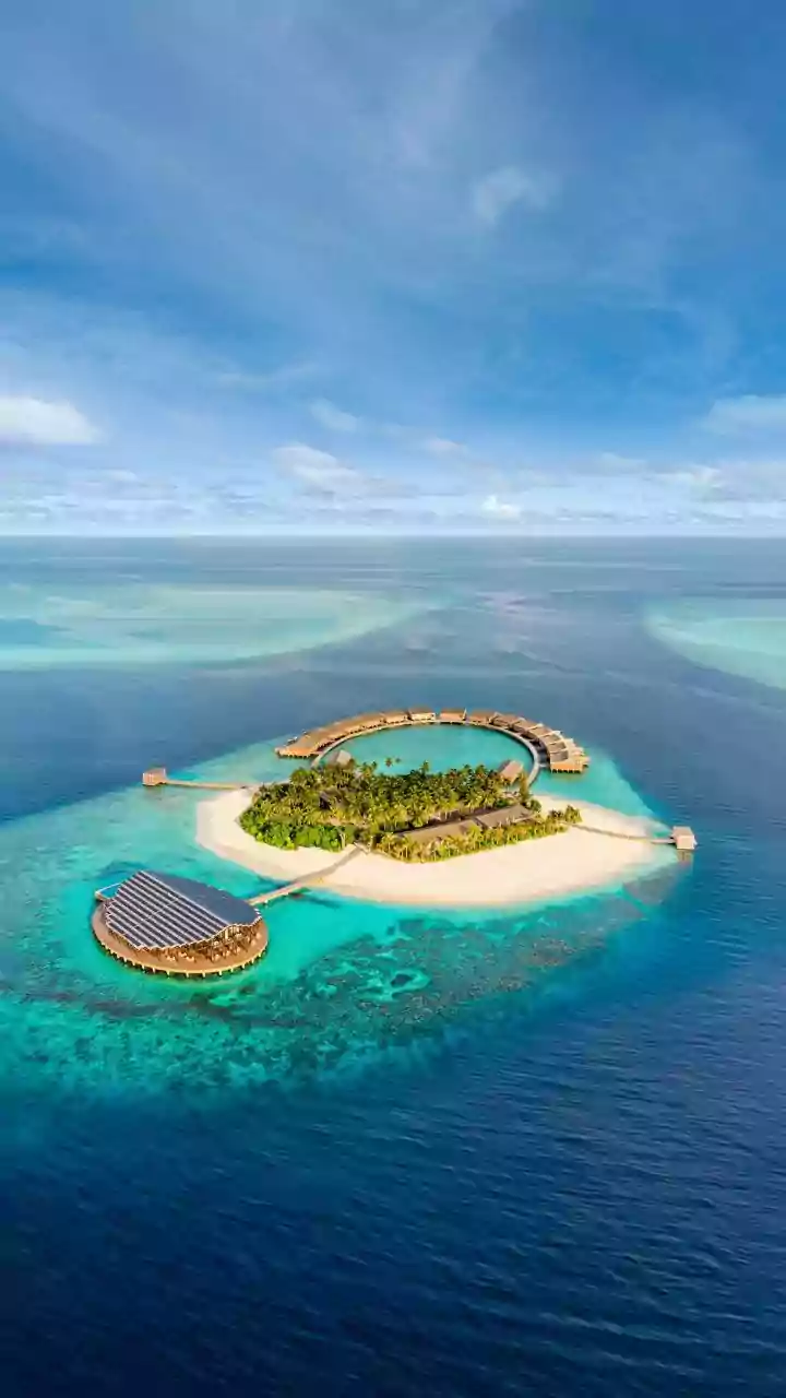Luxury Resorts Now Use Reef Restoration as Part of the Guest Experience