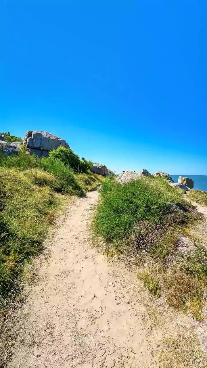 8 Walking Essentials for Peak Performance