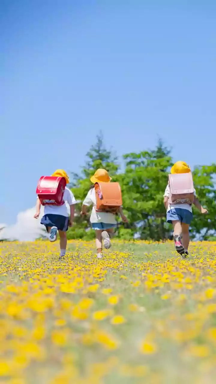 Smooth Sailing to School: 4 Essential Tips for a Positive Transition