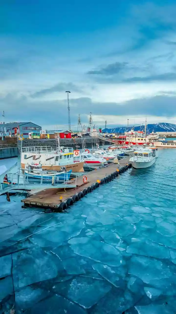 'No Intimidation or Threats Will Influence Us': European Allies Unite Against Trump’s Greenland Tariff Warning