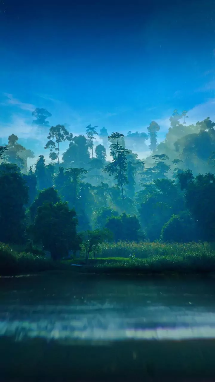 Six Maoists killed in Odisha's Kandhamal district