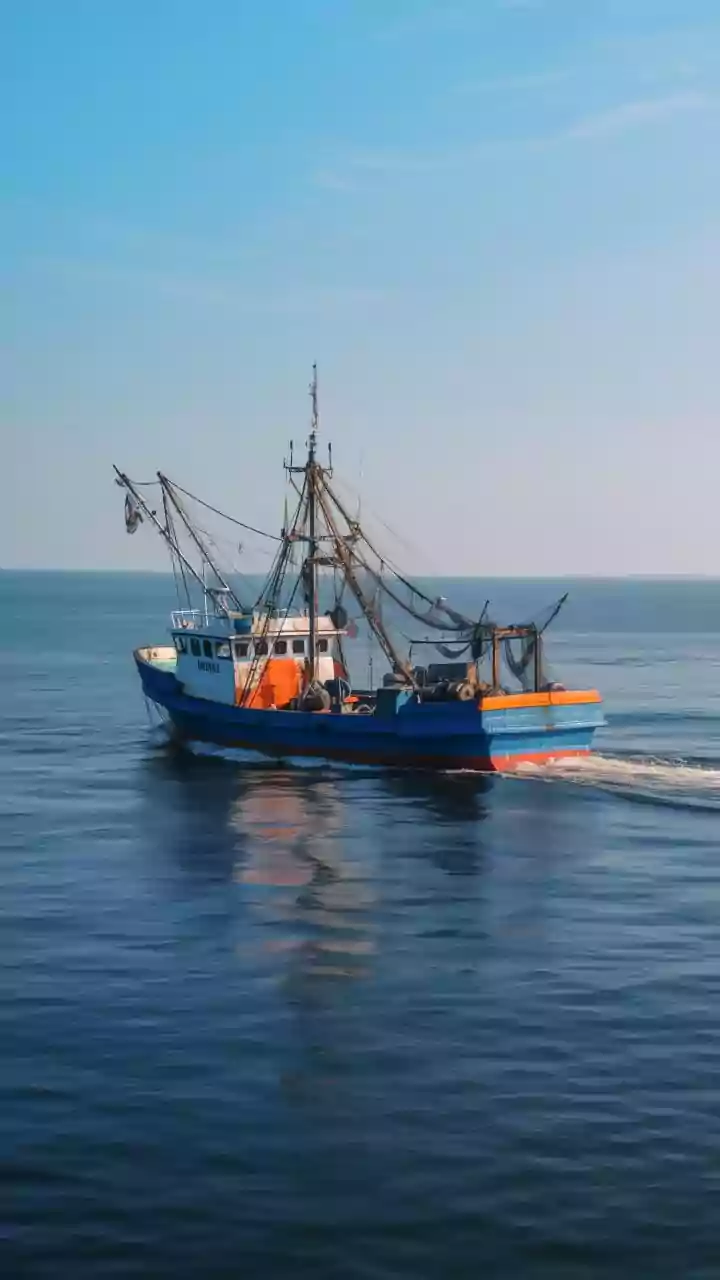 Marine fisheries census nears completion, preliminary report by February-end