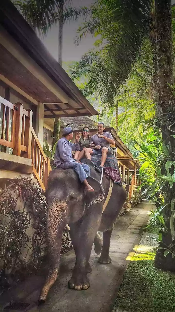 Cultural Immersion Trips: How Local Homestay Hosts Guide Travellers To Undiscovered Attractions