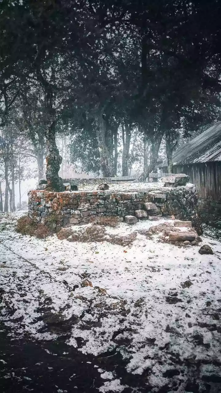 Jageshwar Temple: This shrine is known as Lord Shiva’s winter abode in Uttarakhand; nearby places to visit and more