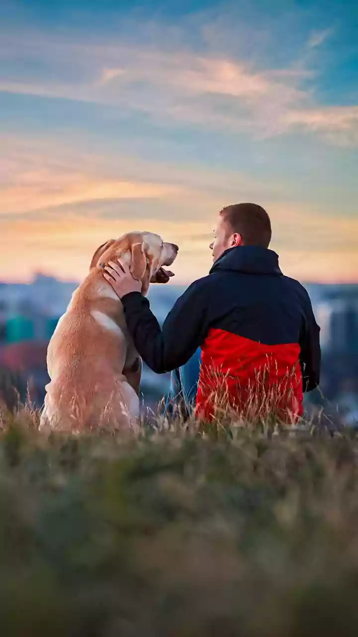 Jaipur Zomato Delivery Man Takes A Pause From Work Call To Rescue Stray Dog: ‘Bohot Dino Baad Koi Dost Mila Hai’