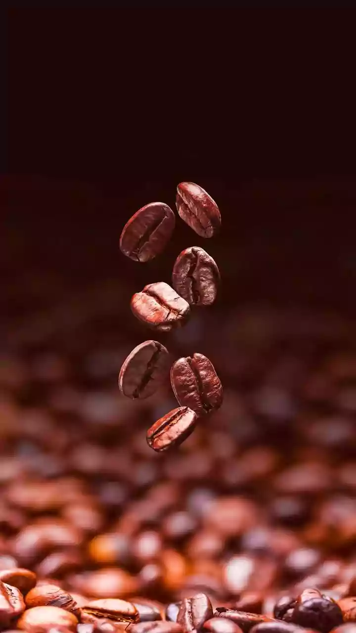 Why Indian specialty coffee brands focus on single-origin Arabica transparency from estate to cup