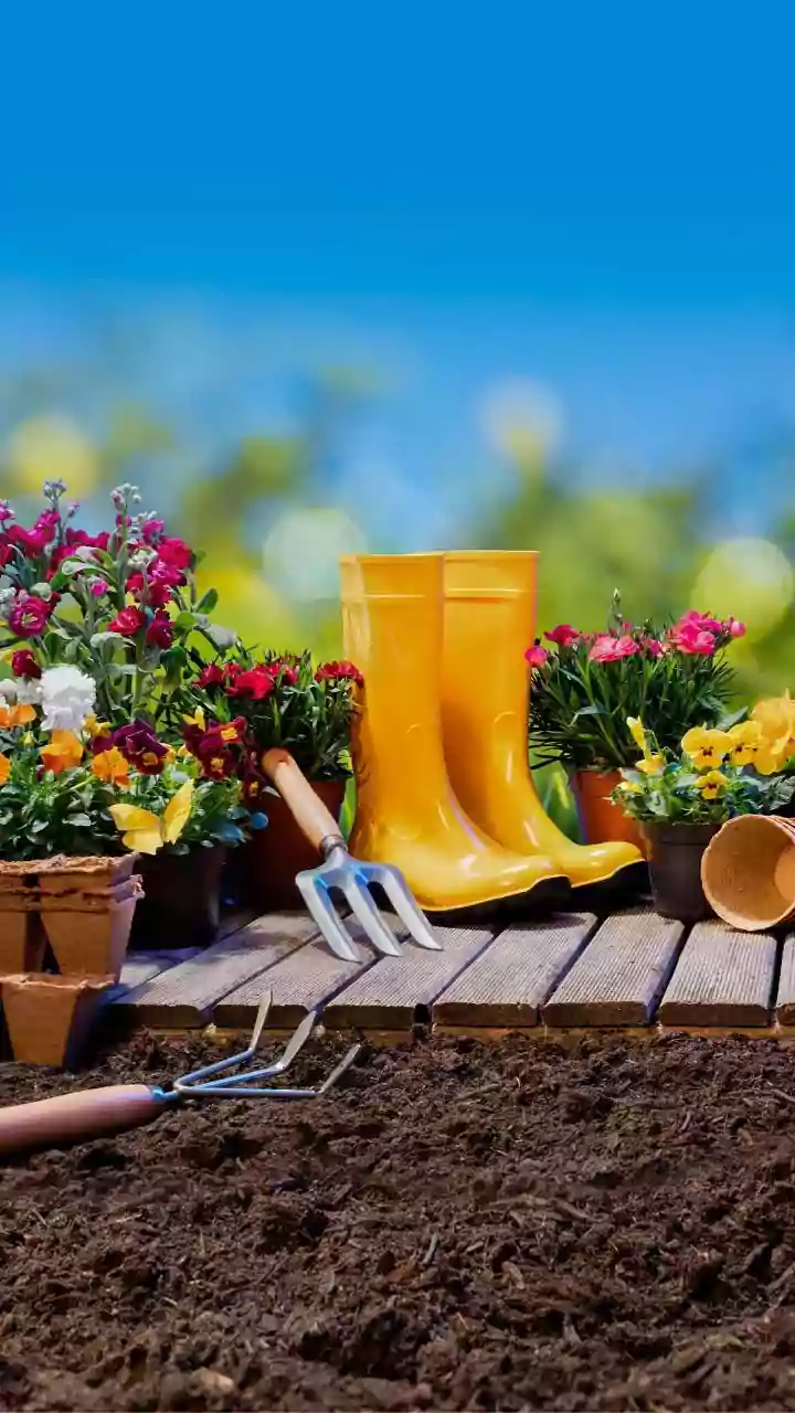 November Balcony Gardening: How To Maintain Healthy Soil Microbes In Cooler Weather