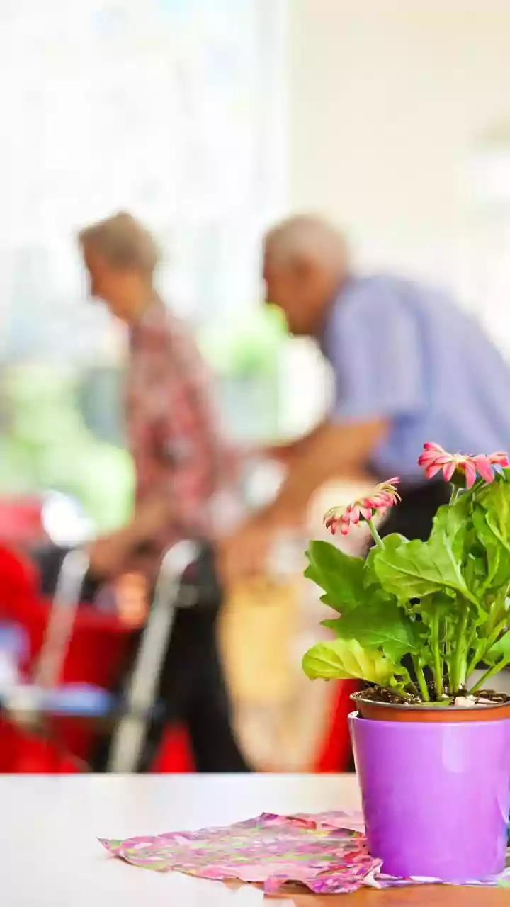 MP News: Elderly Couple Suffers Carbon Monoxide Poisoning After Using Charcoal Brazier In Closed Room