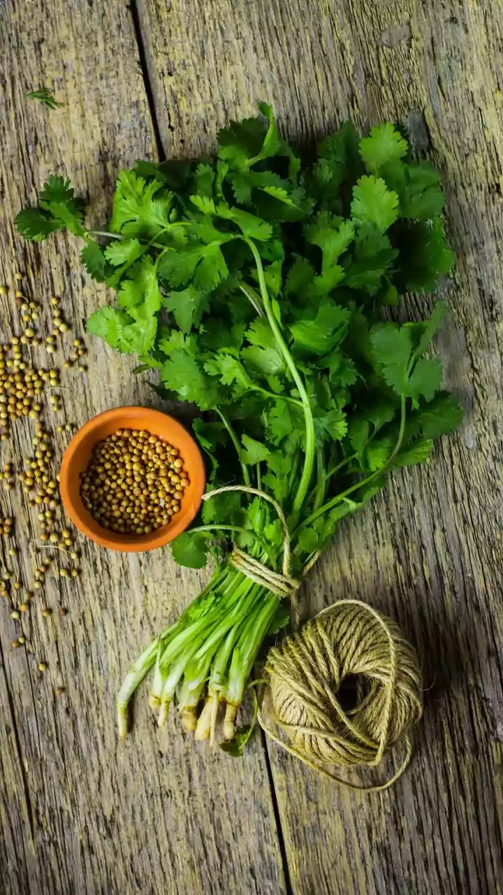 Coriander futures fall on low demand