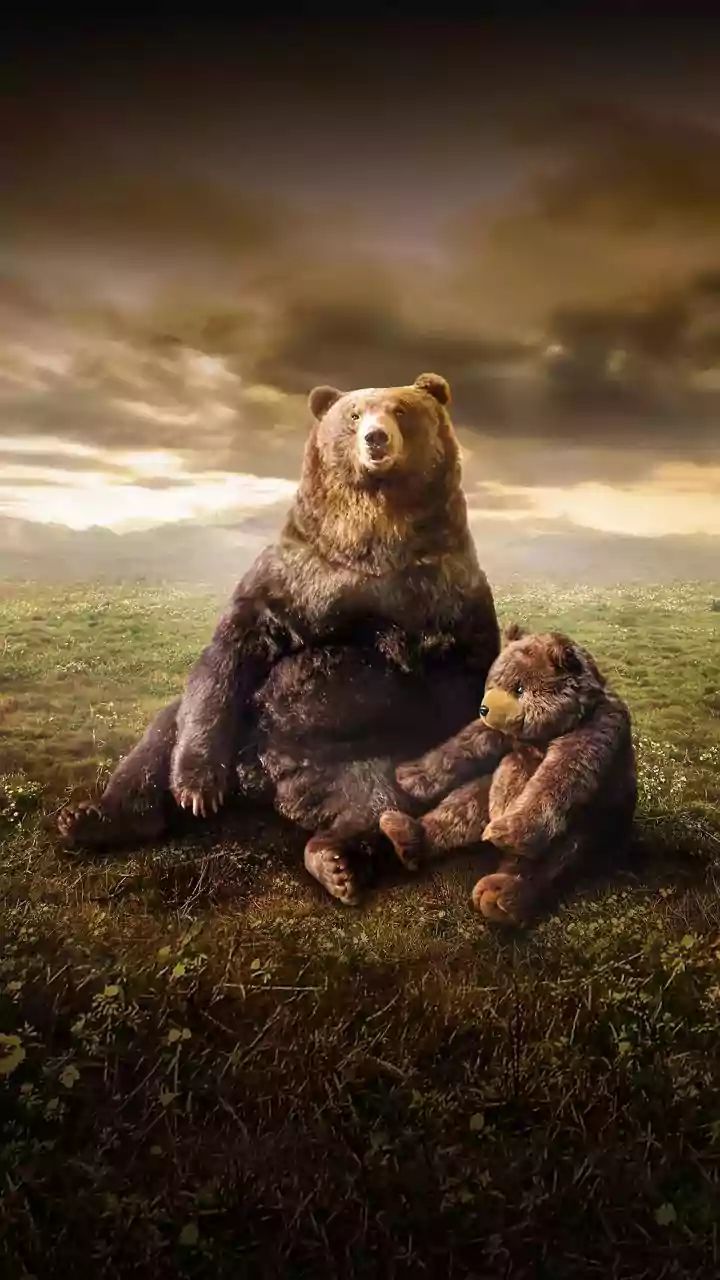 Two bears enter Uttarakhand’s Chamoli school, attack child; students rescue, villagers demand safety