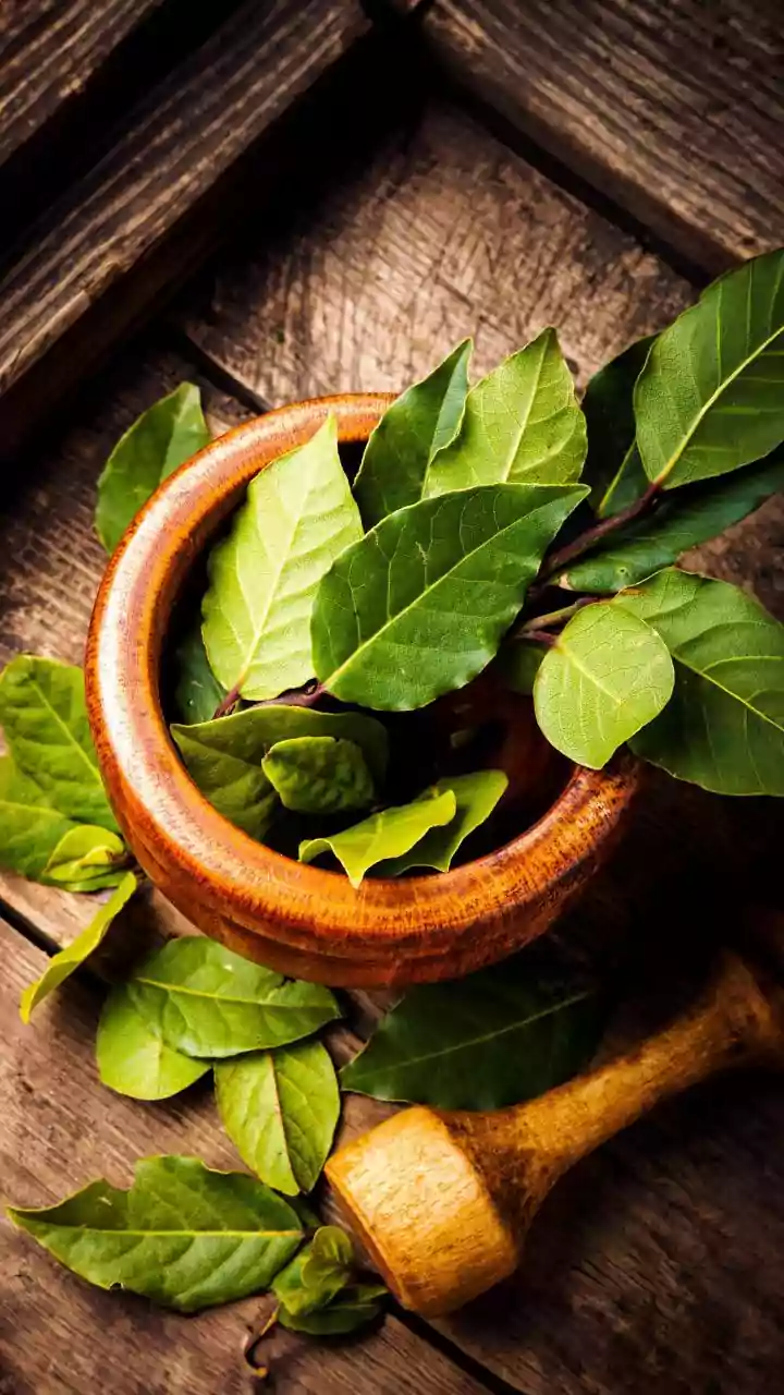Managing Dementia The Ayurvedic Way: Natural Tips For Better Brain Health