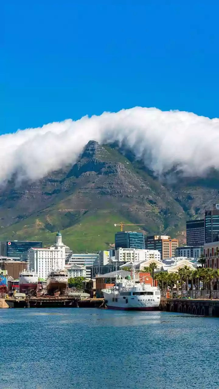 The Johannesburg Summit Examined BRICS Relevance in a Divided World