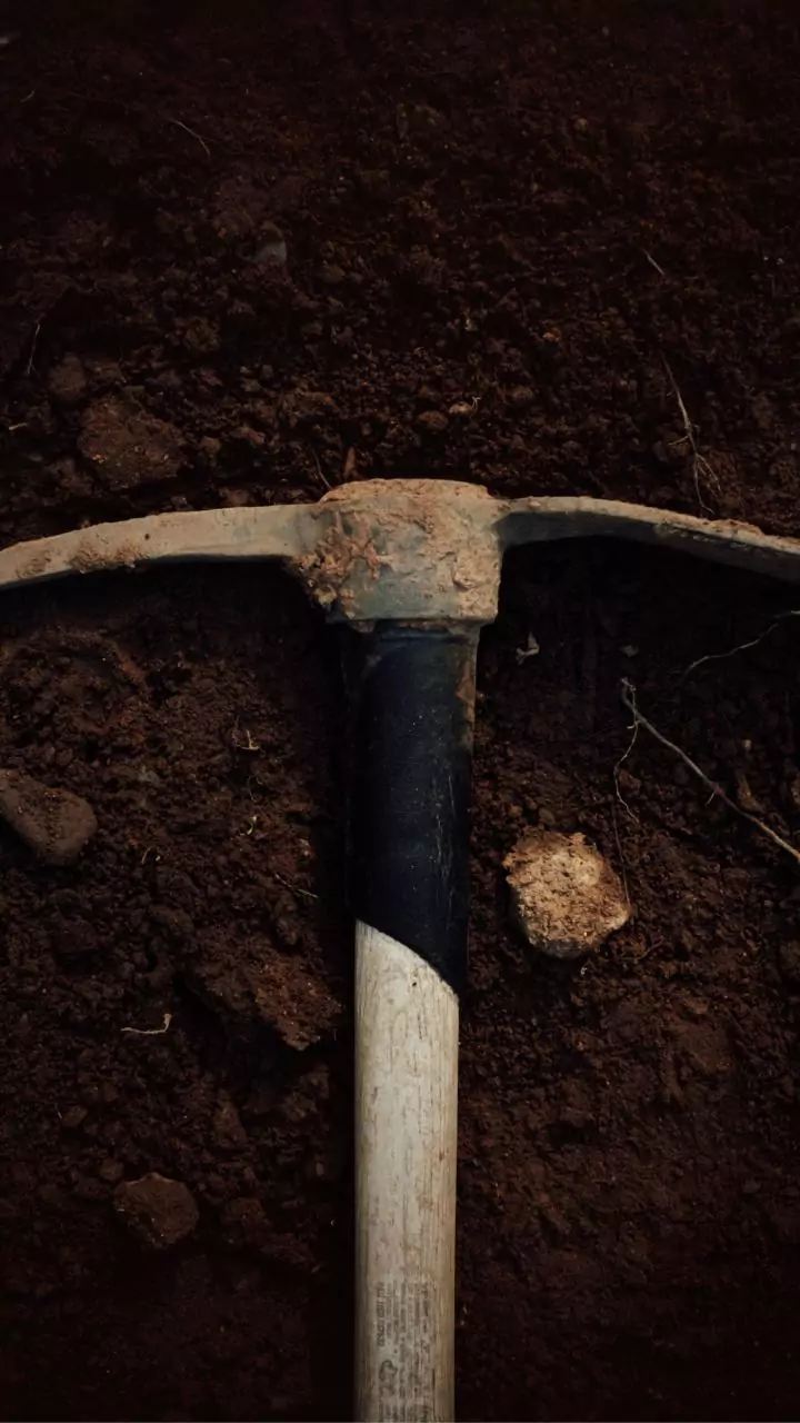 Andhra Pradesh: Man's murder staged as road accident; wife, lover arrested