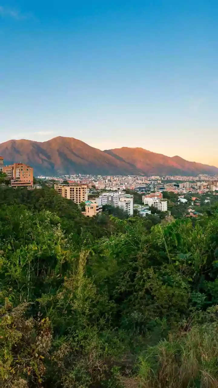 Breathing Easy: The Pursuit of Clean Air