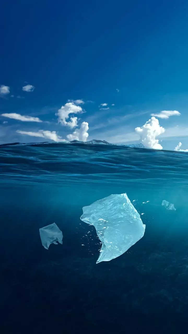 Scientists list 10 pressing climate issues: How 2023-24 became warmest, ocean warming among them