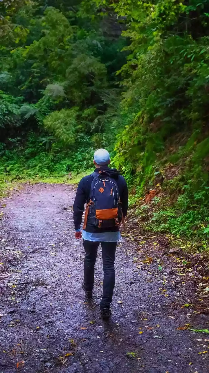 How To Pack For A Western Ghats Monsoon Trek: Essential Gear And Safety Rules