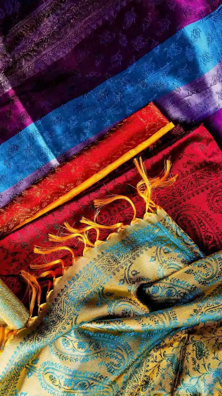 India's Woven Wonders: A State-by-State Saree Expedition