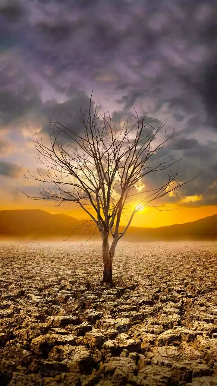 India faces 13% monsoon rainfall deficit, raising concerns for rabi crops