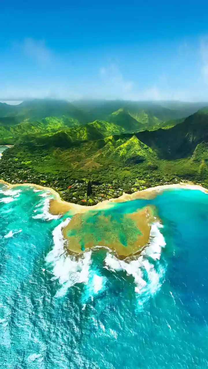 How Marine Biologists Use Coral Thermal Resilience Discoveries To Save Fragile Coastlines Worldwide