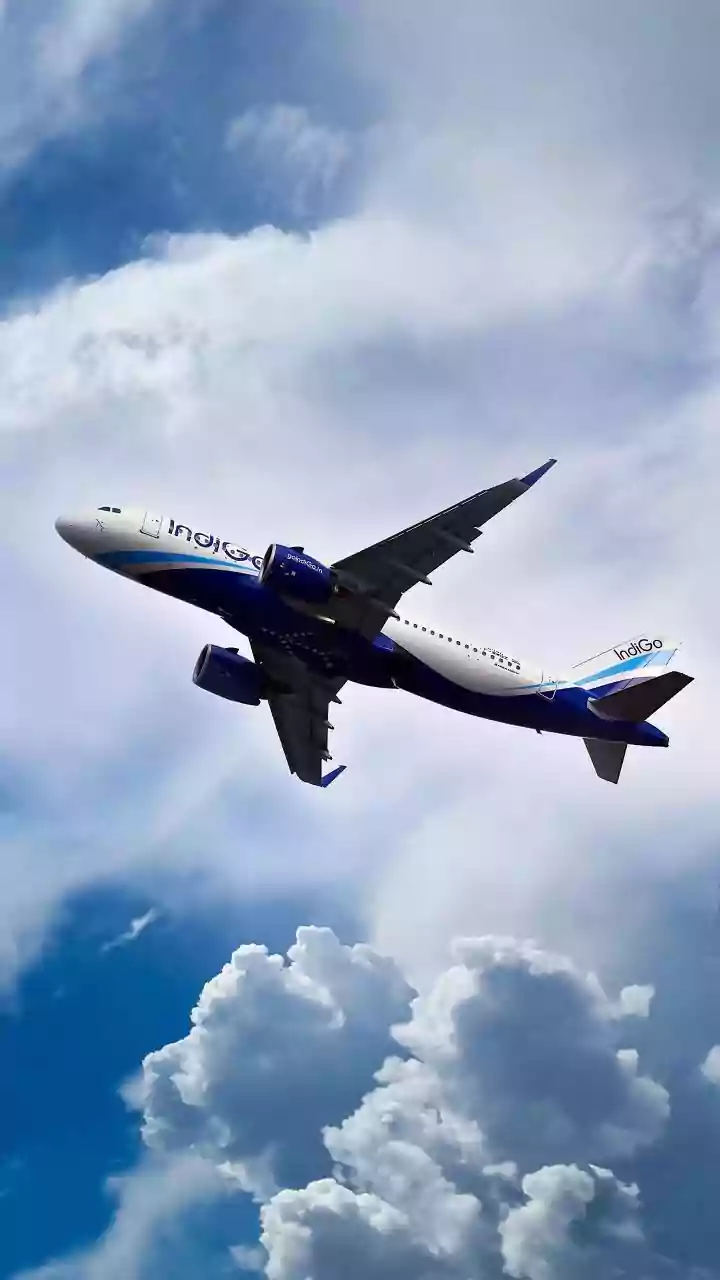 'Ladki Hai Isliye Tameez Se Baat Kar Raha Hoon, Warna…': IndiGo Passenger Aggressively Argues With Staffer After Flight Delay | VIDEO