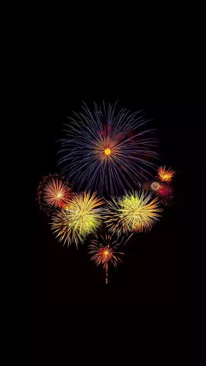 13 killed, over 40 injured in blast at fireworks unit in Kerala’s Thrissur