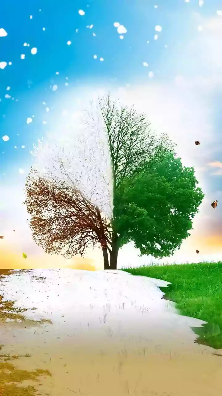 Cough, Cold, Fatigue: Doctors Explain Why Season Change Is Making You Sick