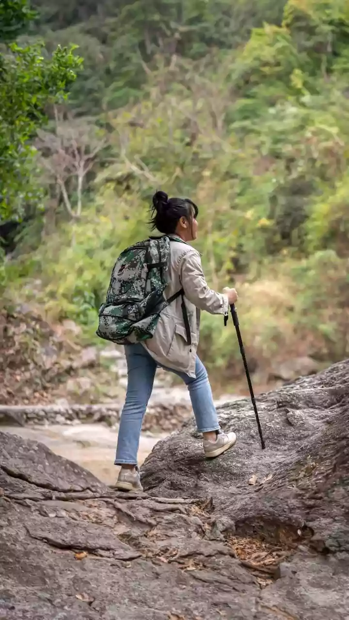 Planning A Trek In Karnataka? Forest Dept May Stop You At The Gate, Here’s Why