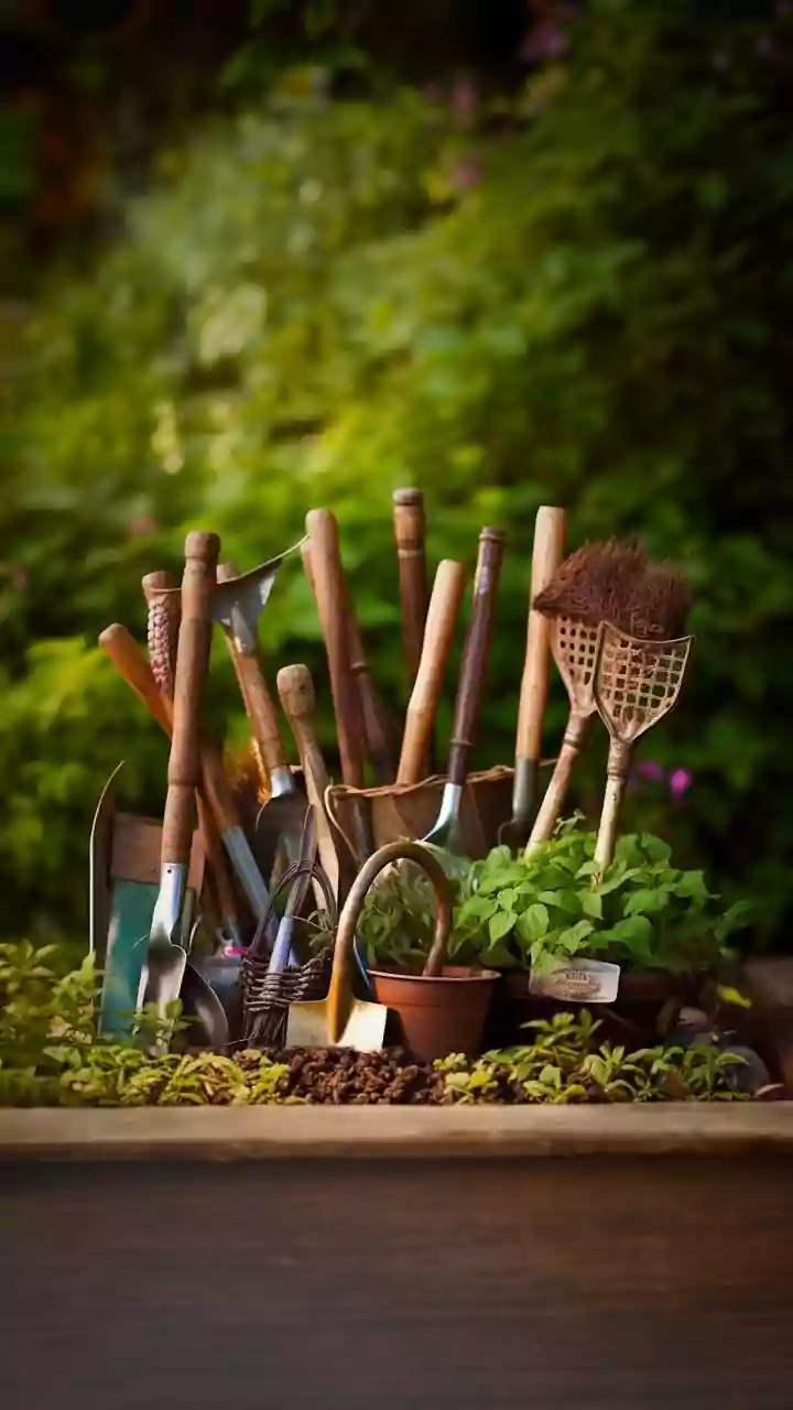How to clean gardening tools effectively